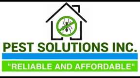 are you looking for pest control company tequesta #Pestcontrol #NearMe #HobeSound #MartinCounty
