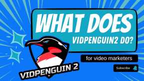 what does VidPenguin2 do for Video search engine optimization 