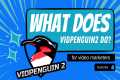 what does VidPenguin2 do for Video