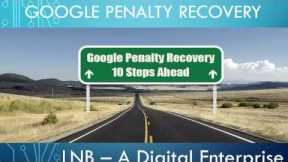 How to Recover From Any Google Penalty- Step by Step guide